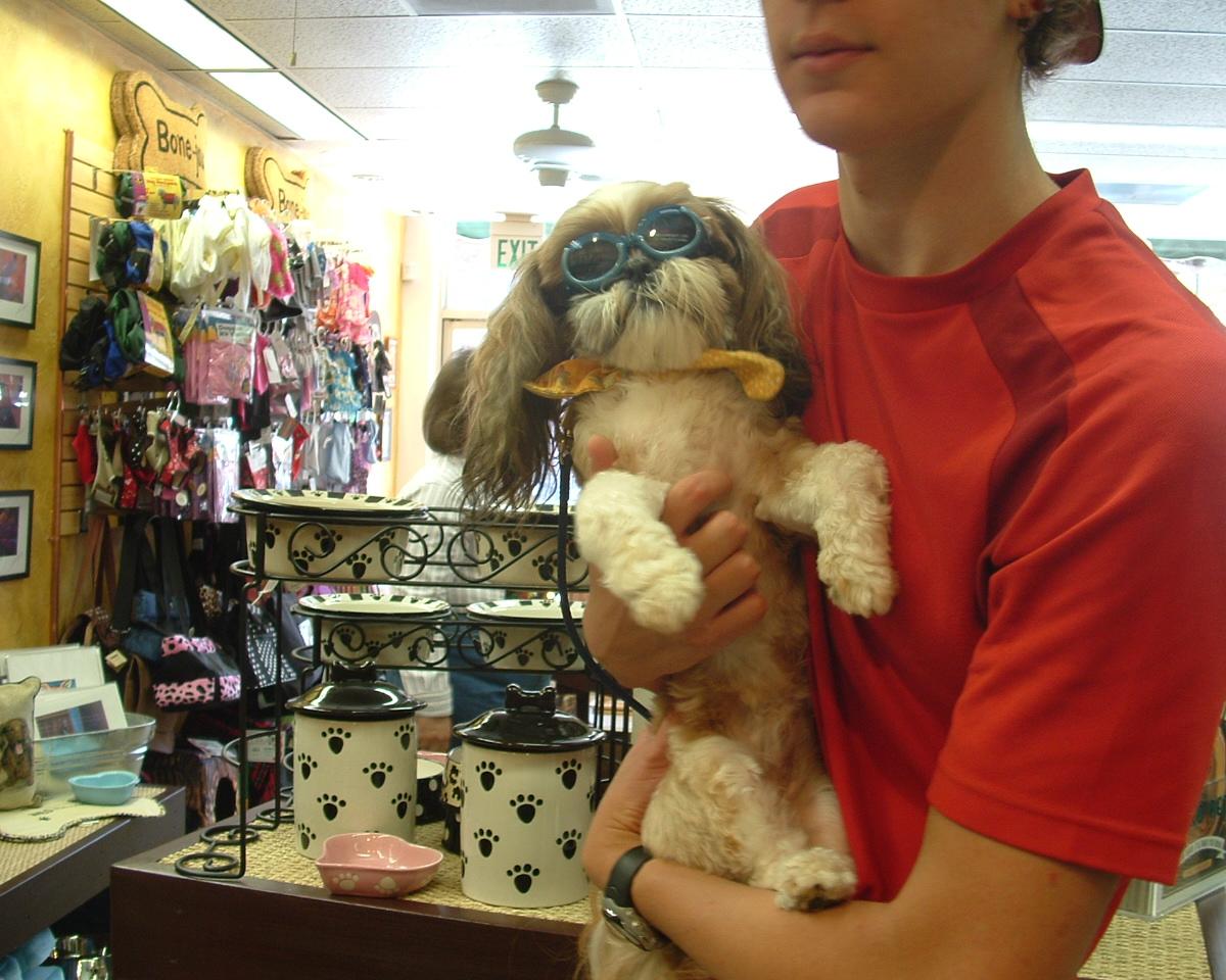 Lookin Cool Little Pippin