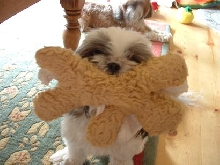 Suki showing off with stuffy