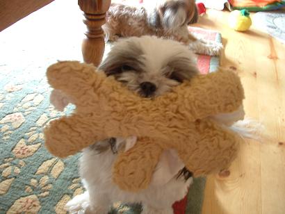 Suki showing off with stuffy