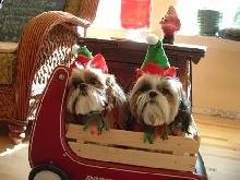 xmas 2005