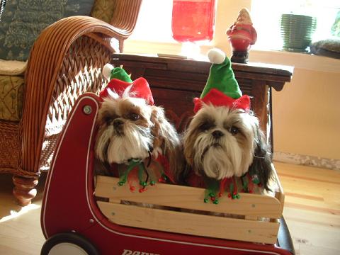 xmas 2005