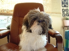 Tansy 6 months