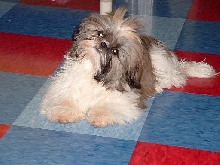 Tansy glowing eyes