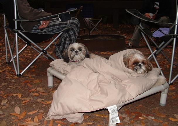 At camp by the fire