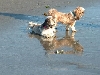 Suk and Pip on the beach