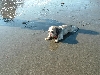 Suki on beach