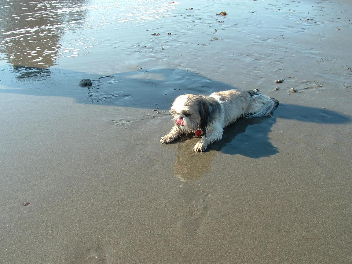 Suki on beach
