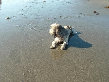 Suki fun on beach