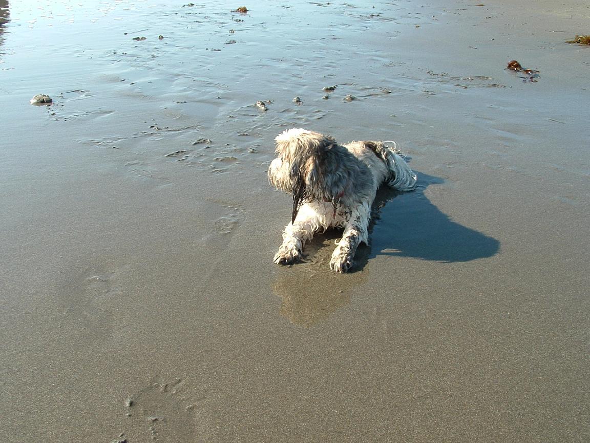 Suki fun on beach