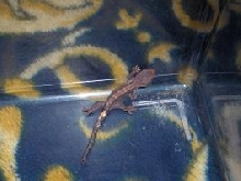my new baby