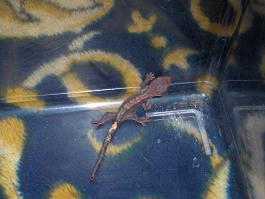 my new baby