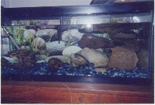 DBT's tank