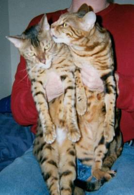 Brotherly Love