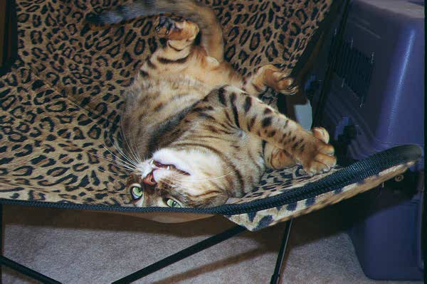 Fun in camo