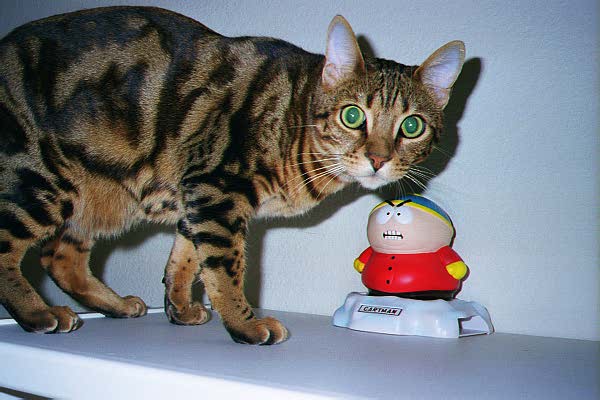 Cartman