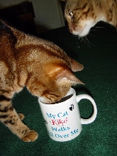 That's MY Mug