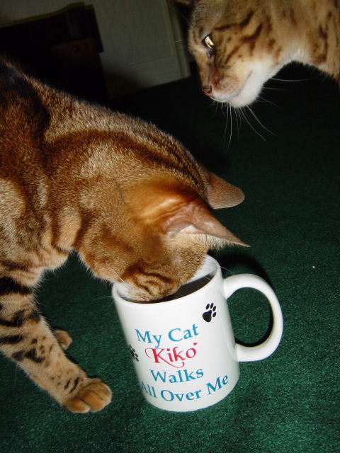 That's MY Mug