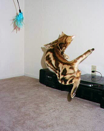 I can fly!