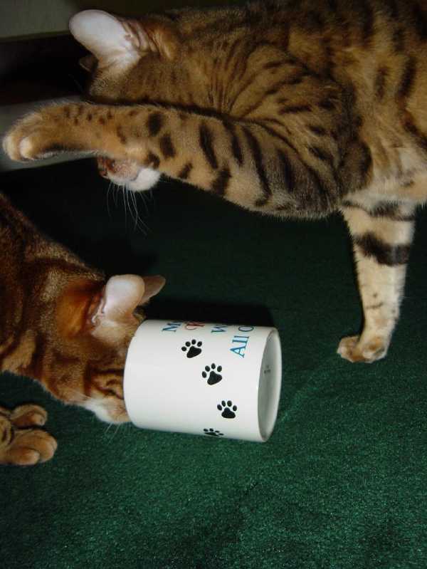 It's MINE!