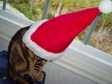 Santa Hat Showdown Part 4
