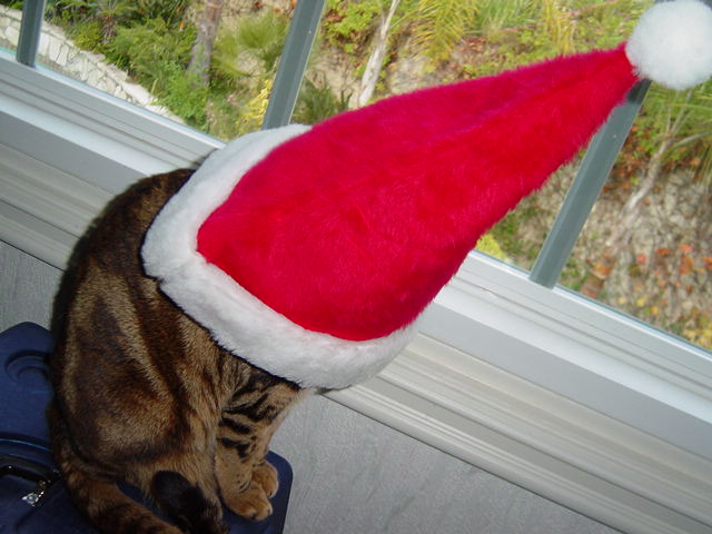 Santa Hat Showdown Part 4