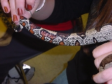 amazon basin tail