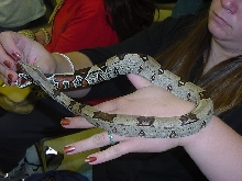 Amazon Basin body