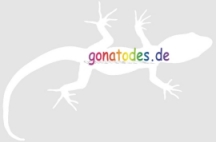 Gonatodes Logo