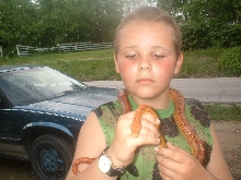 serious future herper