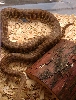 ?gravid stimson python