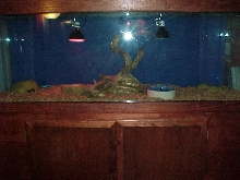 new burm enclosure
