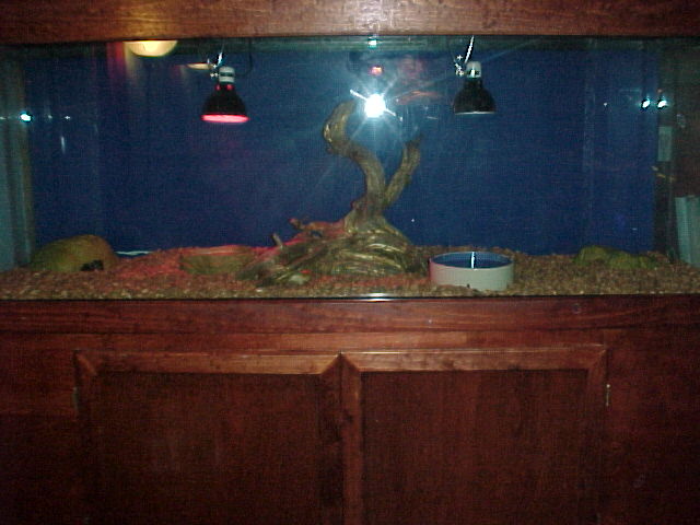 new burm enclosure