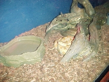 burm enclosure2