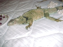 worn out
