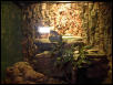 Storri Enclosure