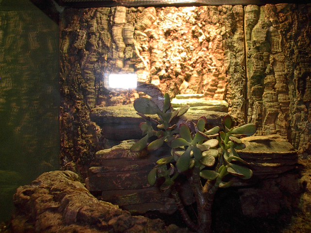Storri Enclosure