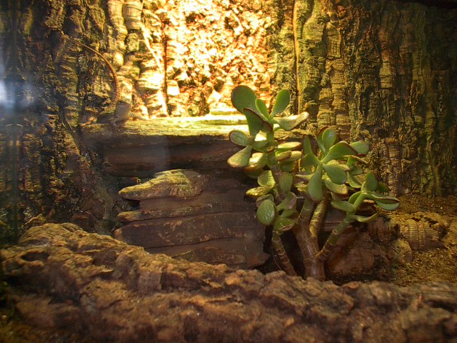 Storri Enclosure