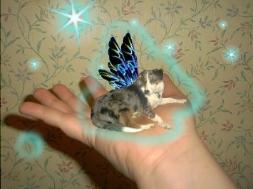 Doodlebug Faerie