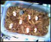 All 7 Eggs