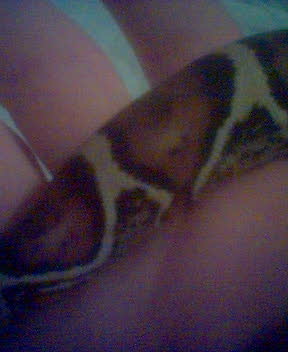 Snake tail