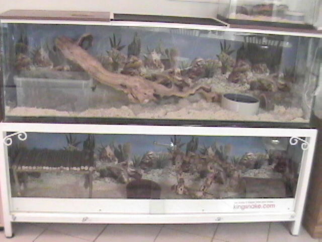 Over/under tanks