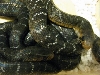 group close up