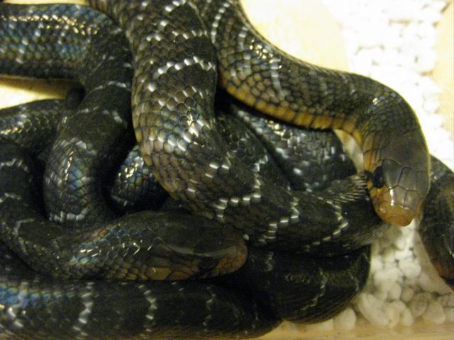 group close up