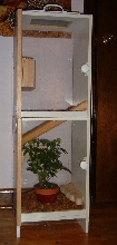 Crested Gecko Enclosure