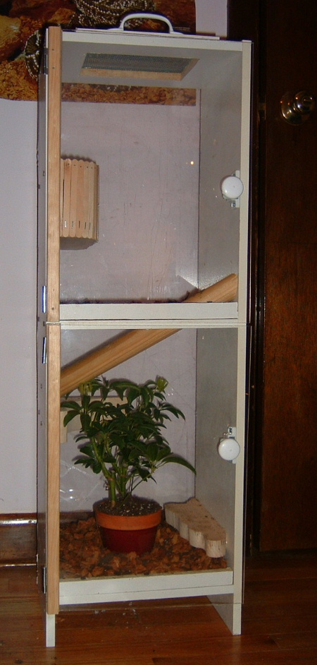 Crested Gecko Enclosure