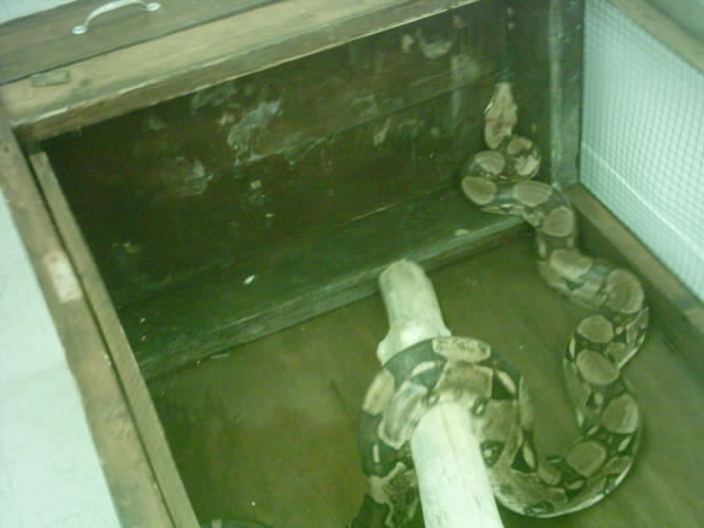 pict 4