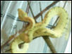 new gtp!