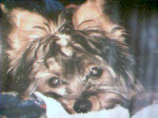 My Benji