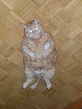 My good side