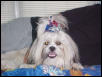 Nemo on 4th of July